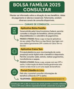 Infográfico explicativo sobre Bolsa Família Consultar: veja como verificar saldo, extrato e situação do benefício em 2025.