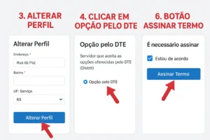 Infográfico didático mostrando passos para alterar perfil, selecionar DTE e assinar termo no sistema.
